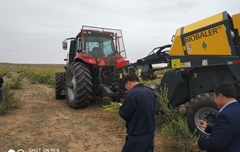 2019年，內(nèi)蒙奈吉牧草有限公司，采購一臺Anderson檸條平茬機